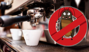 Baratas e outros insetos na cafeteira: Saiba como evitar